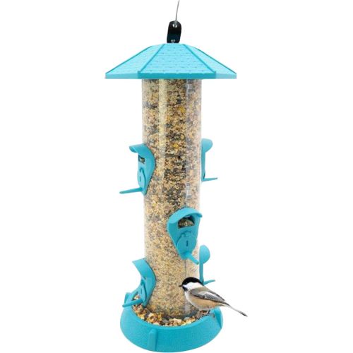 Fiesta 2-in-1 Feeder Blue