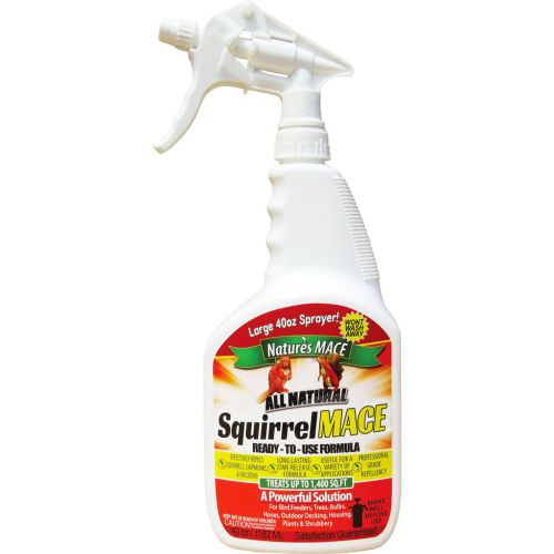 Squirrel Mace 40Oz Rtu Repel