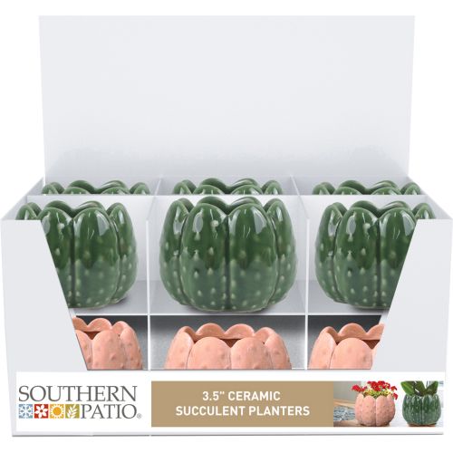 Sp Cactus 3.5" Ceramic Pot