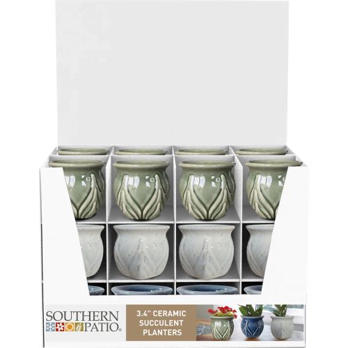 Sp Gadrian Succulent 3.3"  Pot