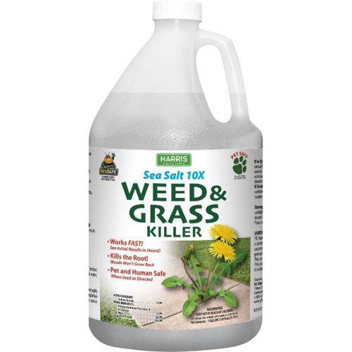 Sea Salt 10x Vinegar Weed Killer