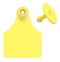 Eartag Allflex Blank Yellow Large 25Pk