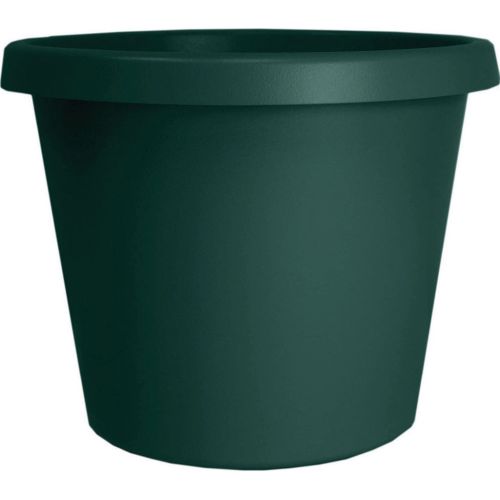 Planter Prima 6" Evergreen