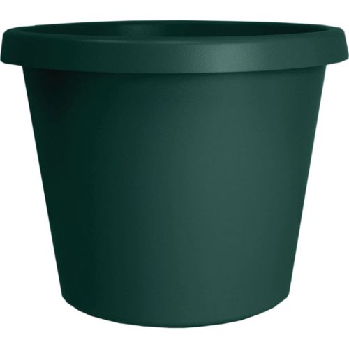 Planter Prima 8" Evergreen