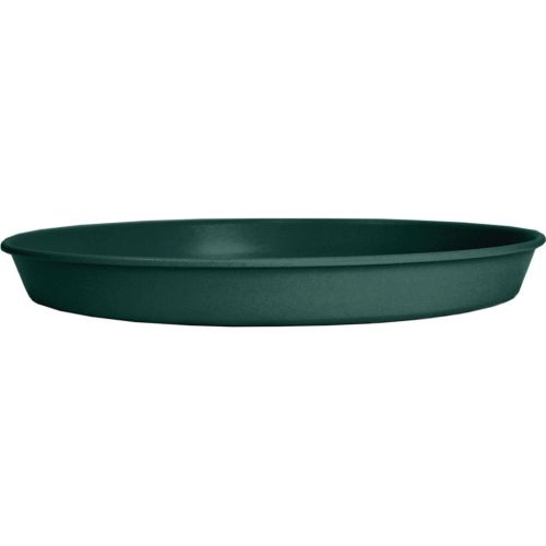 Saucer Prima 8" Evergreen