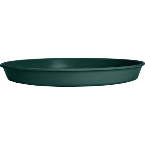 Saucer Prima 10" Evergreen