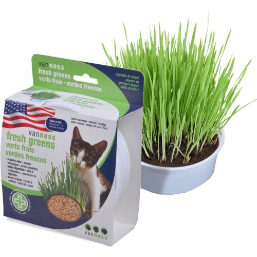 Van Ness Oat Grass Kit