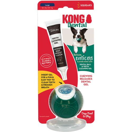 Kong Dental Ball Green Lg