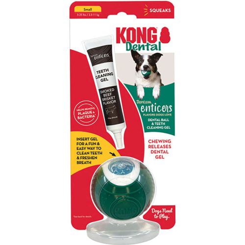 Kong Dental Ball Green Sm