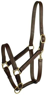 Leather Halter Draft With Snap