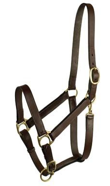 Leather Halter Weanling