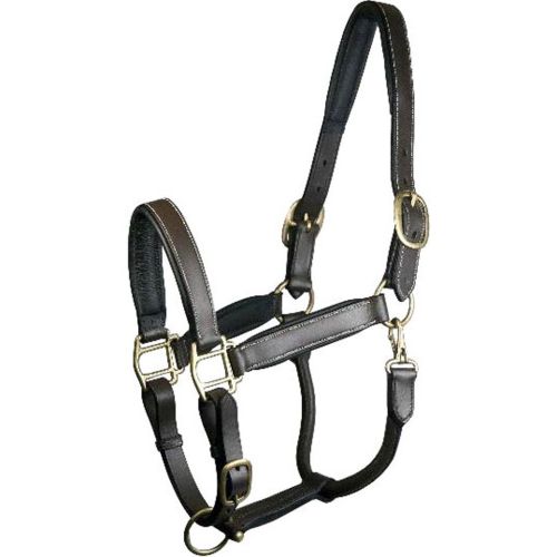 Leather Halter Padded Cob