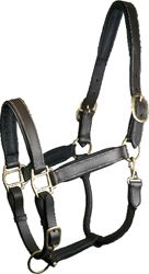 Leather Halter Padded Horse