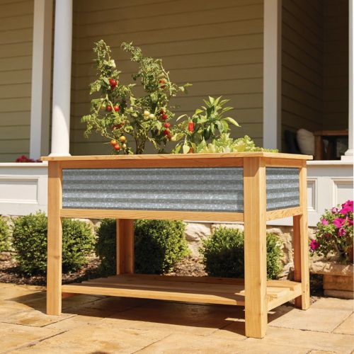 Raised Bed Elevated Steel 4'x2'