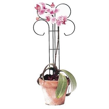 24" Mini Scroll Trellis