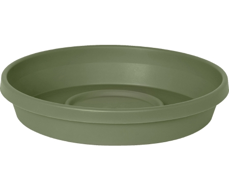 Saucer 8" Plstc Grn