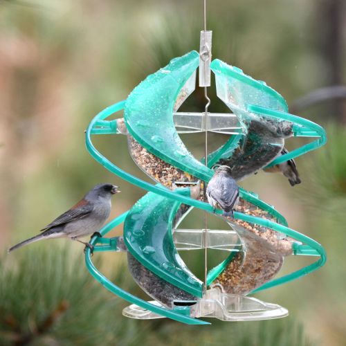 Bird Feeder Cascade Dna