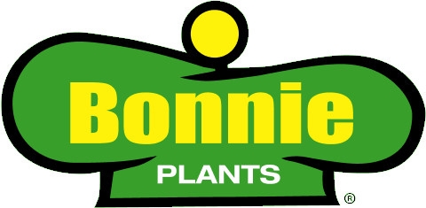 BONNIE 5in Prem Pot ANNUAL
