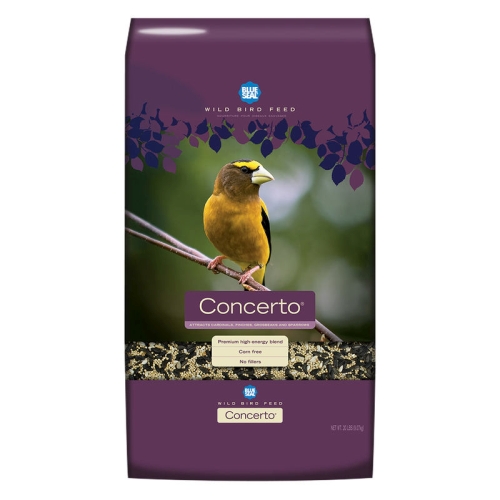 Blue Seal Concerto 40lb