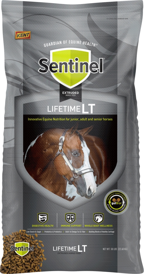 Blue Seal Sentinel Lifetime LT 13.5%