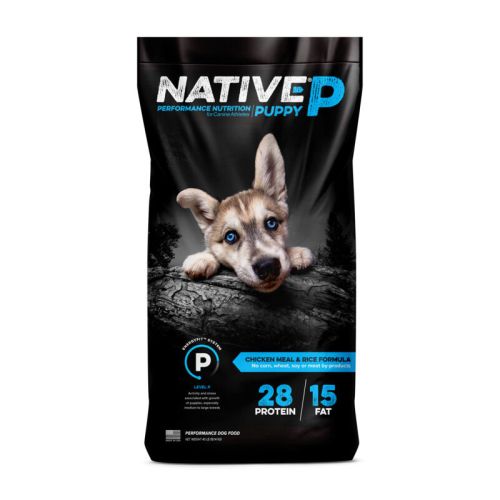 Kent Native Puppy 40lb