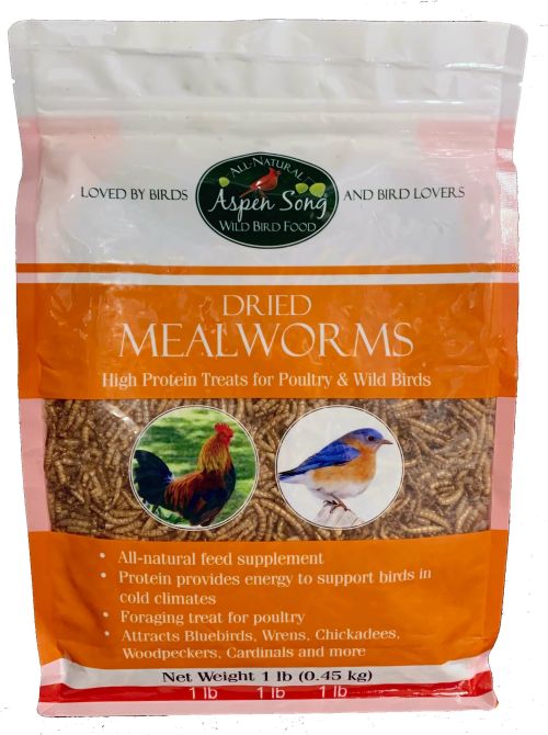 Aspen Song Mealworms 1#