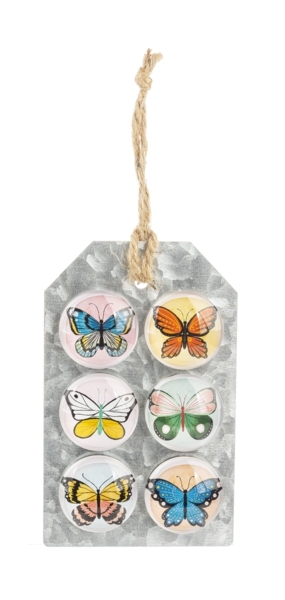 Butterfly Magnet Gls 6/pk