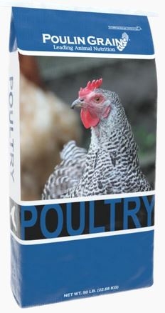 Poulin Grain Chick Starter 20% Crumble 25Lb