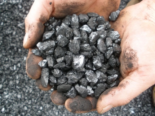 Cornwall Pea Coal 40#