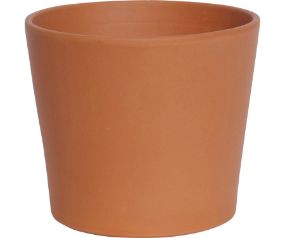 Clay Pot Cabo 10.2"