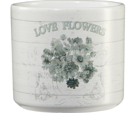 Pot Love Flowers