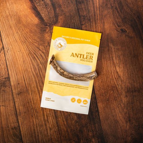 Deer Antler Whole Jumbo