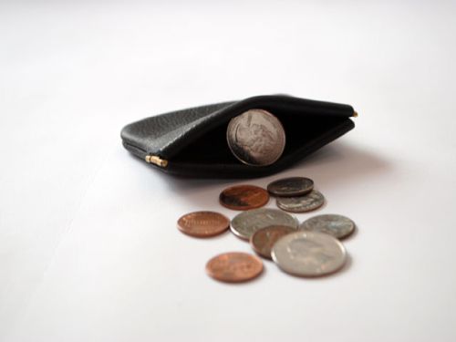 Pinch Coin Purse