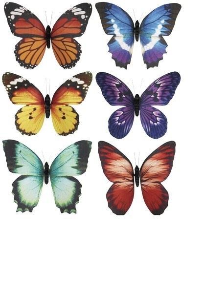 Magnet Deco Btrfly Astd