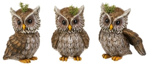 AUTUMN OWLS FIGS q6 RES