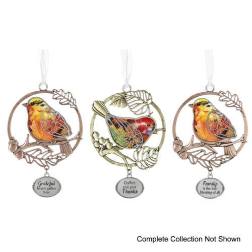Colors Of Fall Orns 3zi