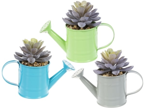 Succulent Coco Deco Hanger