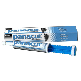 Panacur Horse Dewormer