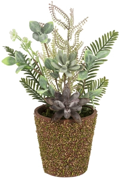 Succulents Pot Plstc