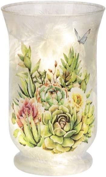 Bo Led Succulents Vase Glass