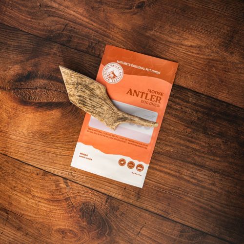 Moose Antler Lg Whole