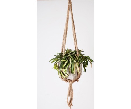 Plant Hanger 36" Knotted Rope