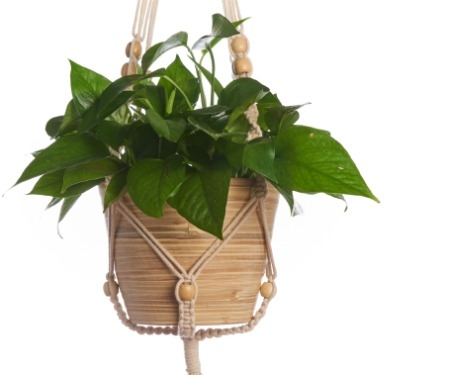 Plant Hanger 42" Cotton Woven