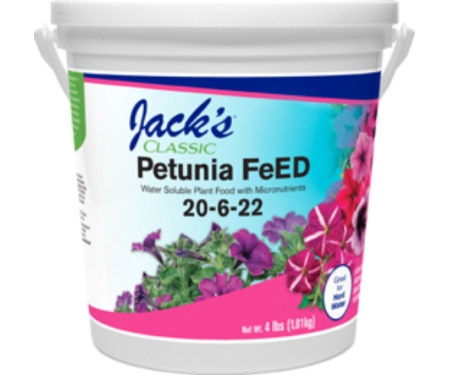 Jacks 4# Petunia 20 6 22