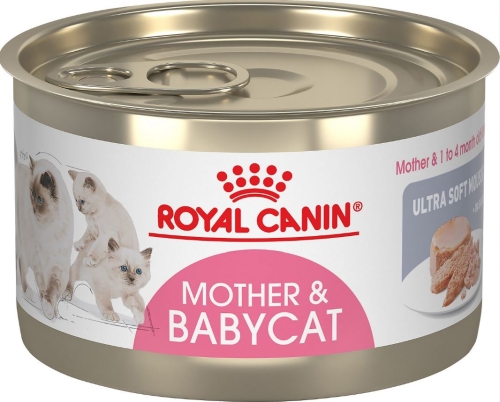 3Oz Royal Canin Mother & Babycat Mousse