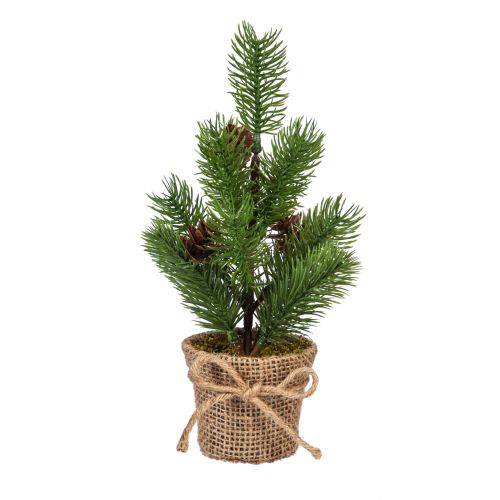 Tree With Burlap Pot