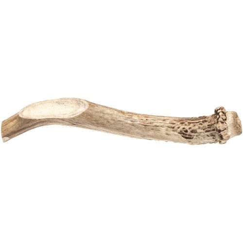 Red Barn Deer Antler Whole XL