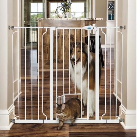 Carls Xtl Walk Thru Pet Gate