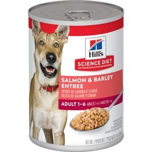 13oz Hill's Science Diet Adult Salmon & Barley