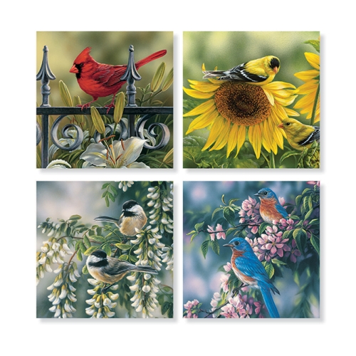 Coaster Birds Assorted
